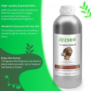 Wholesale bulk price organic 100% pure natural eucommia ulmoides seed essential oil