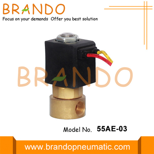 نوع CEME TYPE 1/8 &#39;&#39; FKM SEAL SLENOID VALVE