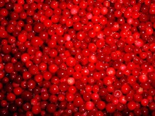 Cranberry Pie Filling or Topping