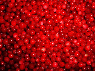 Cranberry Pie Filling or Topping