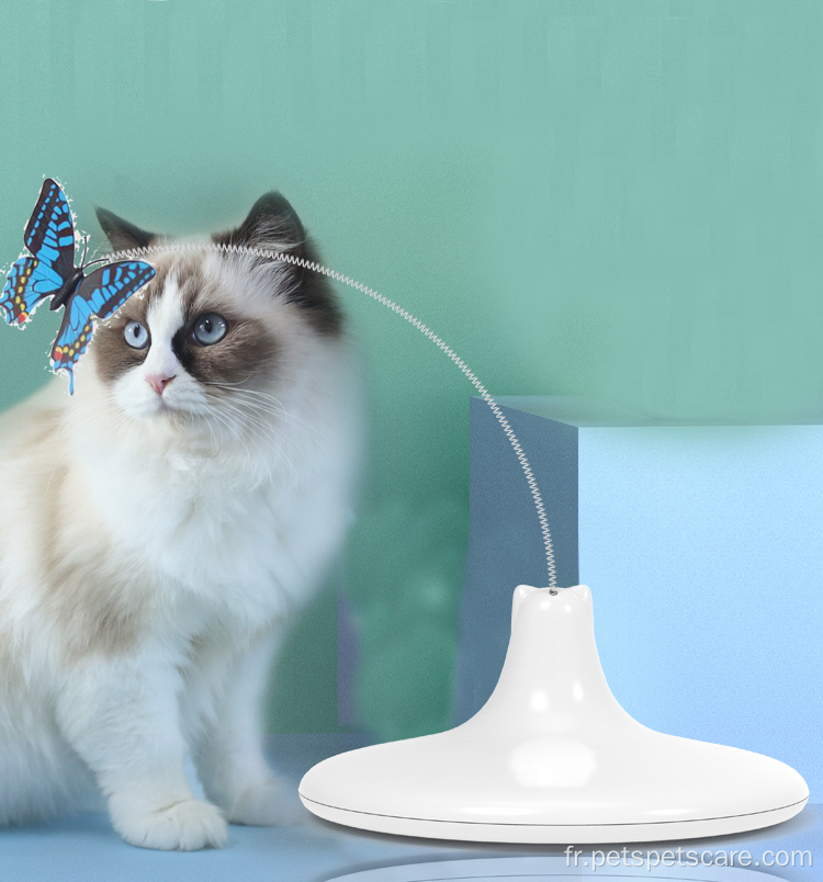 Jouet pour chat papillon pour animaux de compagnie rechargeable par USB