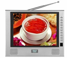 Solt-In Multimedia Portable DVD Player