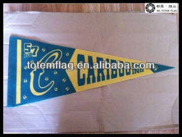 Pennant Felt Flag , Felt Pennant , Flag Pennant