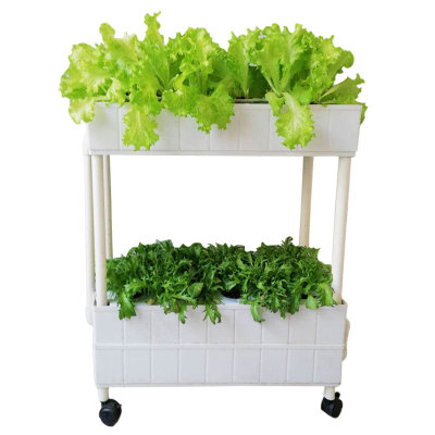2 Layer hydroponic system