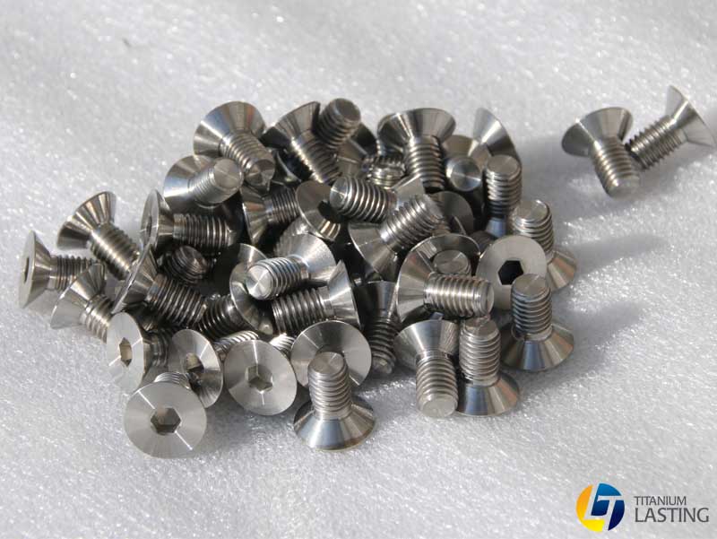 Tornillo de titanio duradero 1 Lasting Titanium Screw 1
