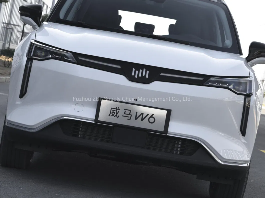 Weltmeister Wm W6 Electric Cruising Range 520km 620km Nex PRO Ace 4X2 2WD Super Smart EV SUV Motor Auto Cars with Fast Charge