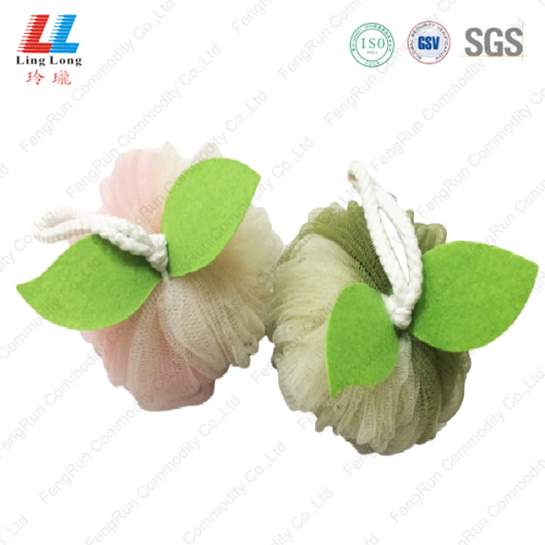 Gradient apple shape mesh sponge