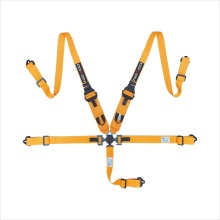 5 Points SFI 16.1 Hans Style Camlock Sports Car Safty Belts
