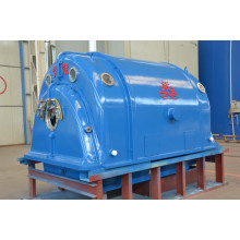 Large Steam Turbine Generators