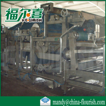 full automatic industrial coconut juice producing line