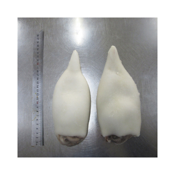 New products best price whole cleaned squid, deepsea frozen whole cleaned squid for sale