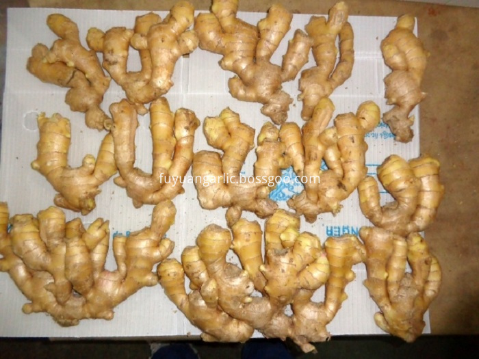 Air Dried Ginger