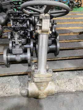 3" 800LB F304 Cryogenic Gate Valve