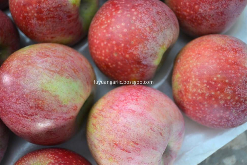 red qinguan apple