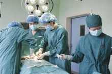 Stem Cell Transplant For Kidney Disease