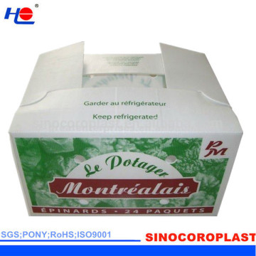 PP Plastic Vegetables Bins/Crates/Tray