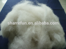 Natural Silver Fox Hair, pure carded and dehaired silver fox hair