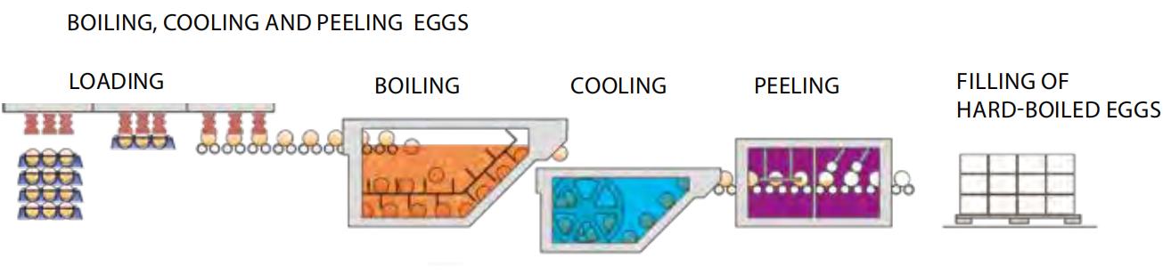 Peel Egg processing machines