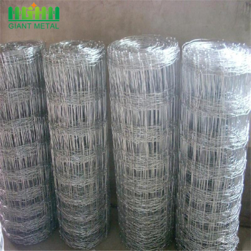 factory cheap galvanized wire grassland filed fence