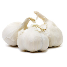 JIning greenfarm blank galic