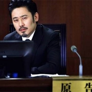 Professional Attorney Barrister Solicitor