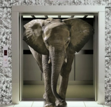 Huge Good Quality Cargo Lift Freight Lift