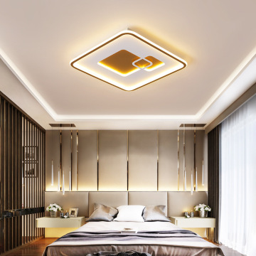 LEDER Led Unique Small Ceiling Lights