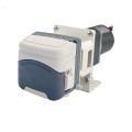 Economical Quick-installation Transfer OEM Peristaltic Pump