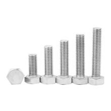 Stainless steel hexagonal head bolt