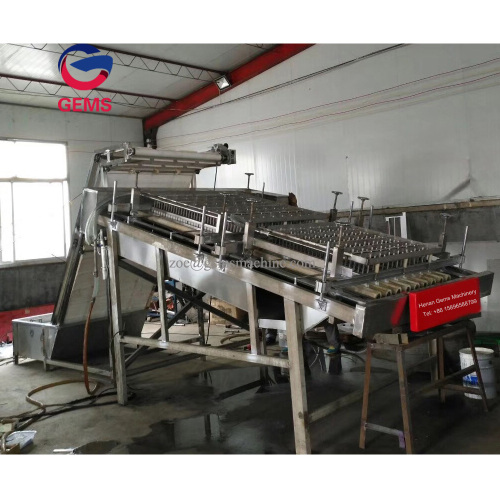 Shrimp Cutter Huller Cooked Shrimp Skin Removal Machine