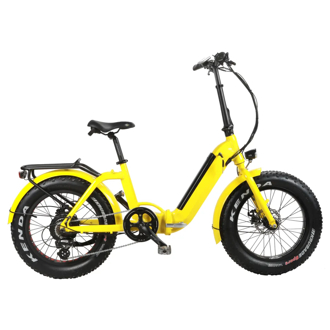 Brushless Motor Electric Bike Bafang Motor Lithium Power Ebike