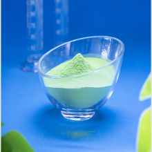 Natural Gas Pipeline Coating: Anti-Corrosion Powder Solution