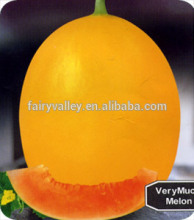 High sweetness hybrid japanese melon seeds sweet melon seeds For Growing-Innovations No.2