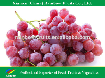 Chinese super sweet fresh red grape for sweet red wine