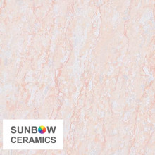 600x600MM Foshan delicate porcelain tile high quality