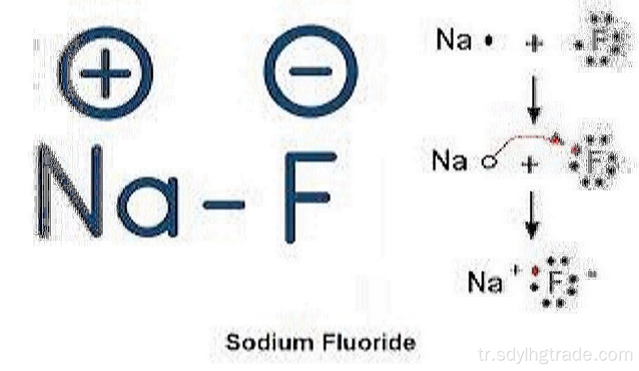 sodyum florür, glikolizi inhibe ederek inhibe eder