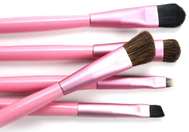 Wholesale 5PCS Portable Makeup Brush for Eye