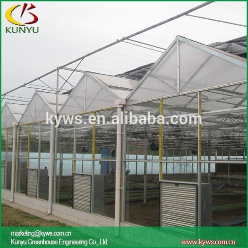 Venlo roof small glass greenhouse greenhouse construction