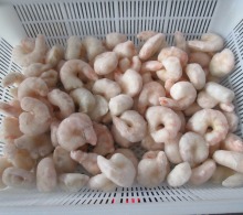Frozen pink shrimp pud