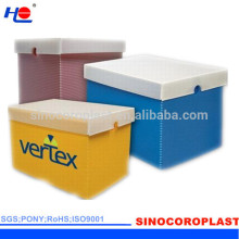 Plastic Corrugated Carton