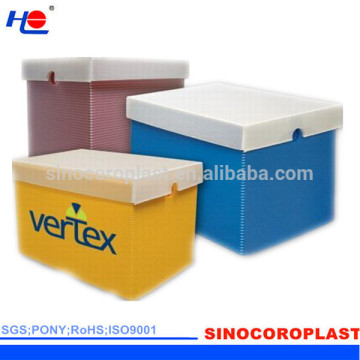 Plastic Corrugated Carton