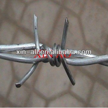 protection wire eletro hot dipped galvanized barbed wire