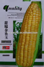 Hybrid Yellow Sweet Waxy Glutinous Corn Seed Maize Seeds For Planting-Yellow Waxy
