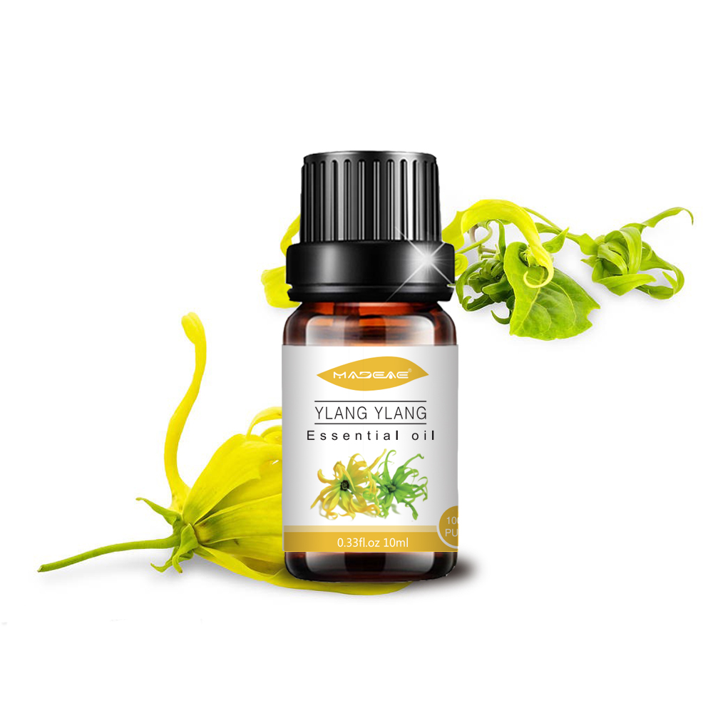 Großhandel 100%reine erstklassige Ylang Ylang ätherisches Öl