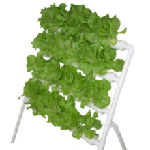 Lengkap Hydroponic Indoor Vertikal