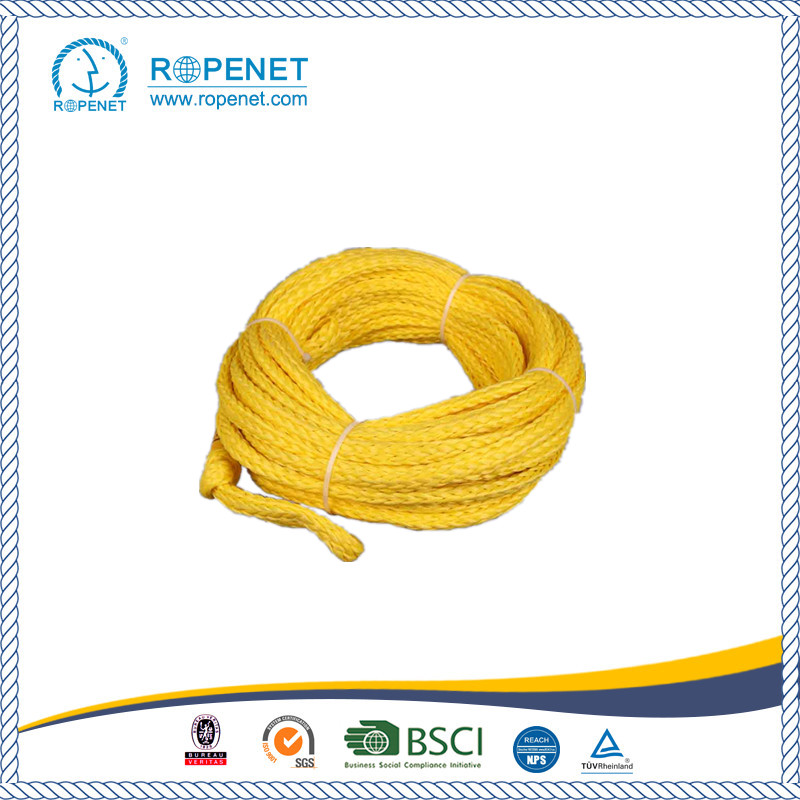 PE Hollow Braid Wakeboad Rope