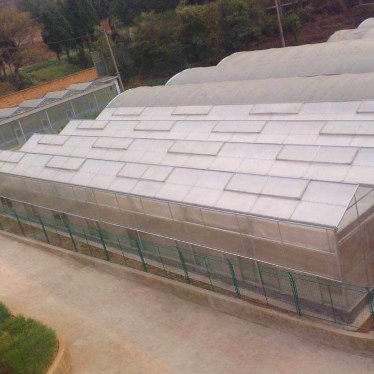 X-structure greenhouse clear roofing sheet polycarbonate price