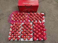 Paper bagged Fuji sent to the Philippines