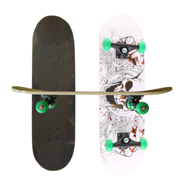 Chinese Maple Pro Grade Complete Skateboard Shop