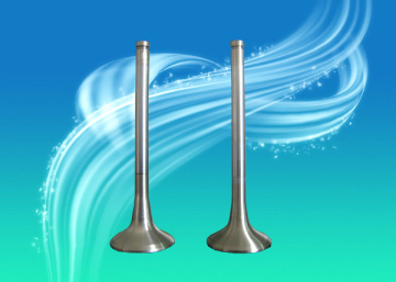 Tractor Agricultural Machinery Diesel Engine Valve